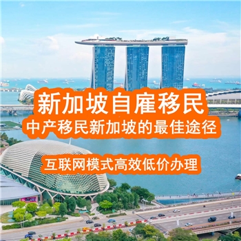 Singapore Self-Employment Immigration Service, EP application