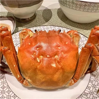 Live Hairy Crab from YangChengHu, deliver door to door, live guarantee