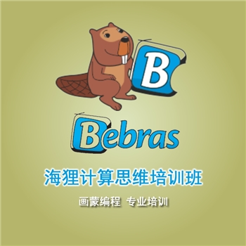 Bebras Computational Thinking Training Course
