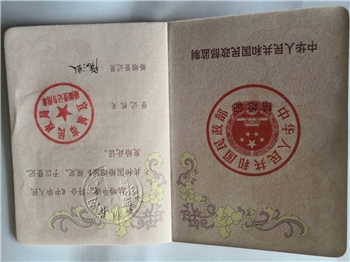 International Marriage Counseling