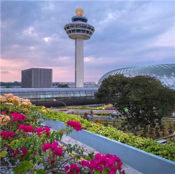 Singapore Changi Airport Pickup Transportation Service