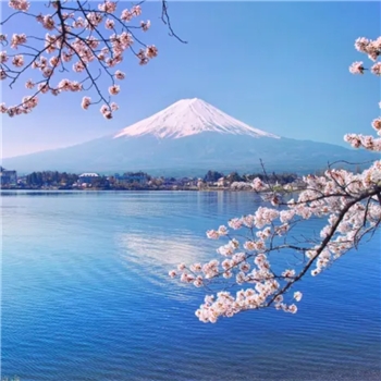 Tokyo + Osaka 7D6N private tour package