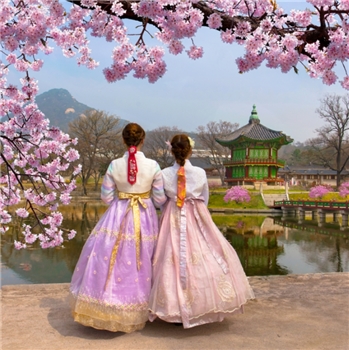 Seoul + Nami Island 5D4N private tour, Korea Tour Package