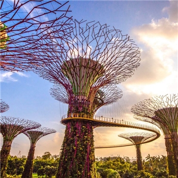 [2025] Gardens By The Bay Ticket, Flower Dome, Cloud Forest, Super Tree, OCBC SkyWay