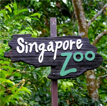 [2025] Singapore Zoo Admission Ticket