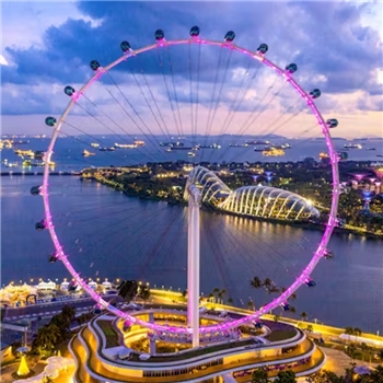 [2025] Singapore Flyer + Time Capsule Ticket